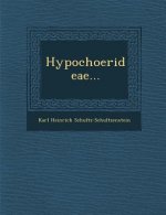 Hypochoerideae...