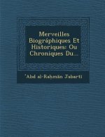 Merveilles Biographiques Et Historiques: Ou Chroniques Du...