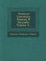 Historya Literatury Polskiej W Zarysach, Volume 3...