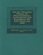 Atlas Der Officinellen Pflanzen: Die Monocotyledoneen, Gymnospermen Und Kryptogamen Mit Tafel CXXXIII-CLXII. (1902)