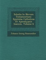 Scholia in Novum Testamentum: Epistolas Catholicas Et Apocalypsin Ioannis, Volume 6