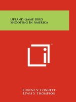 Upland Game Bird Shooting In America