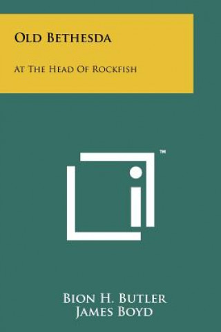 Old Bethesda: At The Head Of Rockfish