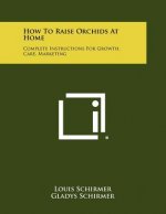 How To Raise Orchids At Home: Complete Instructions For Growth, Care, Marketing
