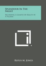 Splendour in the Night: Recording a Glimpse of Reality by a Pilgrim