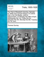 The Trial of Elizabeth Canning, Spinster, for Wilful and Corrupt Perjury; At Justice Hall in the Old-Bailey, Held by Adjournment, on Monday the 29th o