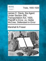 James C. Davis, the Agent Under Section 206, Transportation ACT, 1920, Plaintiff in Error. vs. Hettie McCree, Defendant in Error