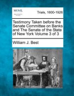 Testimony Taken Before the Senate Committee on Banks and the Senate of the State of New York Volume 3 of 3