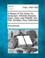 A Report of the Action for Seduction, Wherein Barnaby Egan, Gent. Was Plaintiff, and Rob. Kindillan, Esq; Defendant