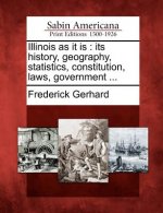 Illinois as It Is: Its History, Geography, Statistics, Constitution, Laws, Government ...