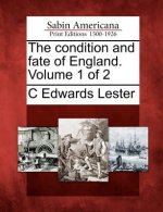 The Condition and Fate of England. Volume 1 of 2