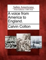 A Voice from America to England.
