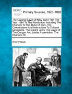 The Colonial Laws of New York from the Year 1664 to the Revolution, Including the Charters to the Duke of York, the Commissions and Instructions to Co