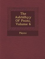 The Asht Dhy y of P Nini, Volume 6