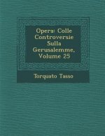 Opera: Colle Controversie Sulla Gerusalemme, Volume 25