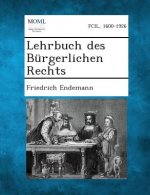 Lehrbuch Des Burgerlichen Rechts
