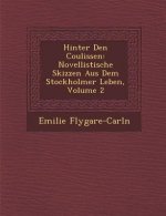 Hinter Den Coulissen: Novellistische Skizzen Aus Dem Stockholmer Leben, Volume 2