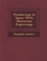 Wanderings in Spain: With Numerous Engravings