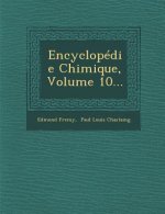 Encyclopedie Chimique, Volume 10...