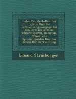 Ueber Das Verhalten Des Pollens Und Die Befruchtungsvorg Nge Bei Den Gymnospermen: Schw Rmsporen, Gameten, Pflanzliche Spermatozoiden Und Das Wesen De