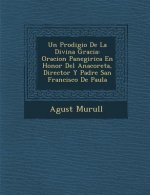 Un Prodigio De La Divina Gracia: Oracion Panegirica En Honor Del Anacoreta, Director Y Padre San Francisco De Paula
