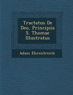 Tractatus de Deo, Principiis S. Thomae Illustratus