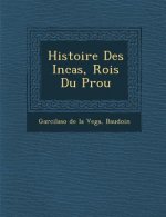 Histoire Des Incas, Rois Du P Rou