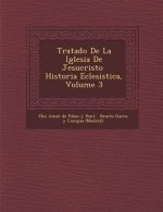 Tratado de La Iglesia de Jesucristo Historia Eclesi Stica, Volume 3