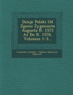 Dzieje Polski Od Zgonu Zygmunta Augusta R. 1572 a Do R. 1576, Volumes 1-3...