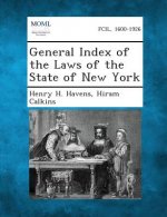 General Index of the Laws of the State of New York