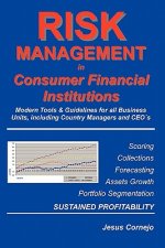 RISK MANAGEMENT in Consumer Financial Institutions: Modern Tools & Guidelines for all Business Units, Including Country Managers and CEO's