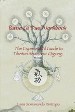Basic Qi Dao Workbook: The Experiential Guide To Tibetan Shamanic Qigong