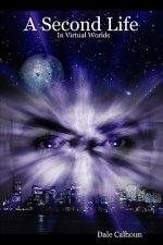 A Second Life In Virtual Worlds