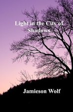 Light in the City of Shadows