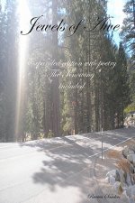 Jewels Of Awe: Expanded Edition With Poetry 