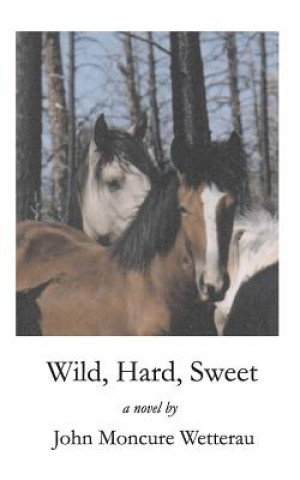 Wild, Hard, Sweet