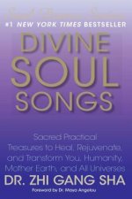 Divine Soul Songs [With CD (Audio)]