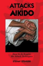Attacks in Aikido: How to Do Kogeki, the Attack Techniques