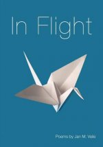 In Flight