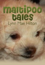 Maltipoo Tales
