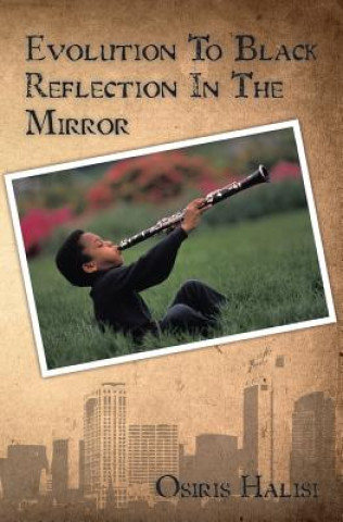 Evolution To Black Reflection In The Mirror