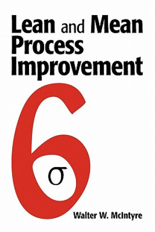 Lean and Mean Process Improvement