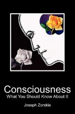 Consciousness: What You Should Know About It