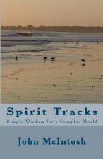 Spirit Tracks: Simple Wisdom For A Complex World