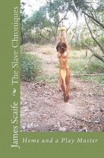 The Slave Chroniques: Home And A Play Master
