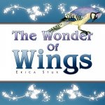 Wonder Of Wings