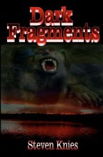 Dark Fragments