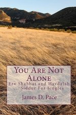 You Are Not Alone: Erv Shabbat to Havdalah ... Siddur For Singles