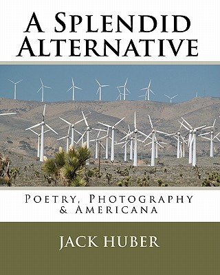 A Splendid Alternative
