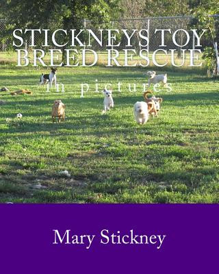 Stickneys Toy Breed Rescue in pictures: 2005 thru 2011